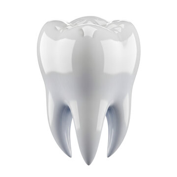 A single white human molar tooth with glossy enamel and detailed cusps isolated on a transparent clinical background dental health and hygiene concept