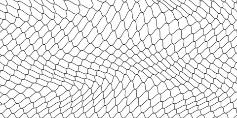 Mesh texture for fishing nets. Grunge pattern for sportswear or soccer goal, volleyball net, basketball hoop, hockey, athletics. Grunge background © Linda