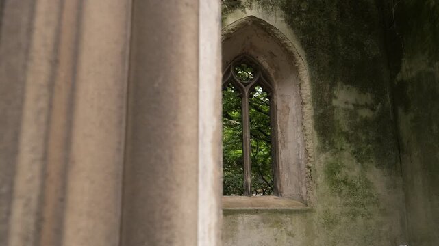 Revealing ancient gothic window in an old ruin Church overgrown with trees