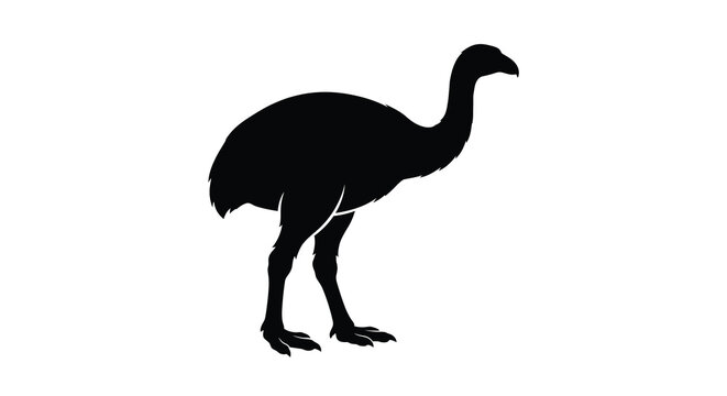 Rhea bird vector silhouette against a white background a detailed avian form illustration feathered animal wildlife graphic design