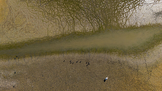 Aerial view of the dry lake bed with intricate cracked patterns, patches of green algae, and a small group of birds walking on the parched ground in Cavuscugol, Konya, Turkey.