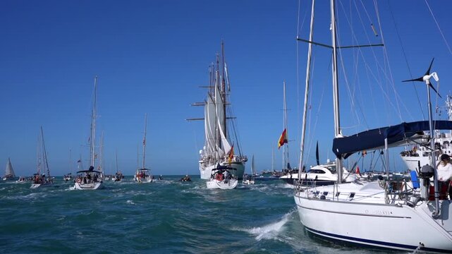 Sailboats and tall ship navigating during regatta