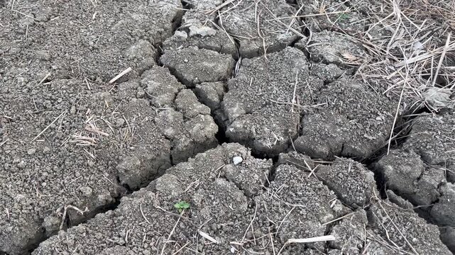 Cracked dry mud texture background during extreme drought season