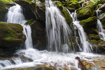 Fototapeta premium Nature's tranquility and clean water, waterfall cascading over mossy rocks in a forest