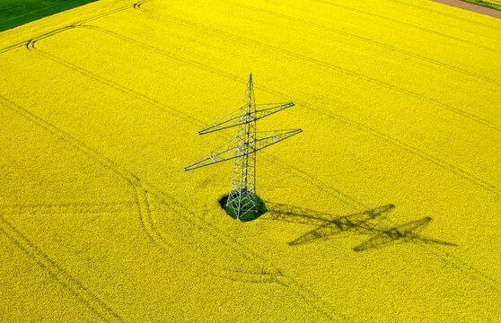Aerial view of a metal power pylon standing in the middle of a vibrant yellow rapeseed field with its long shadow cast on the ground in Ruddesheim, Baden-Wurttemberg, Germany.
