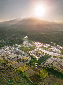 Aerial view of lush rice terraces at sunrise with sunlight reflecting off water-filled paddies and a mountain in the background in Trawas, East Java, Indonesia.