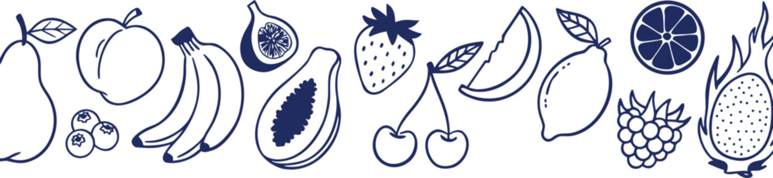 Seamless border of various fruits and berries, handdrawn doodle style illustration