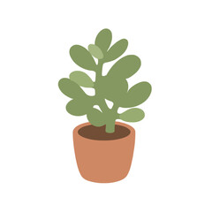 Fototapeta premium A charming flat vector illustration of a green succulent plant featuring rounded fleshy leaves growing inside a simple terracotta flowerpot isolated against a clean white background