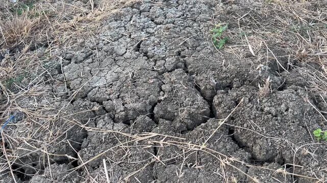 Texture of natural fertile dark soil blocks on agricultural land