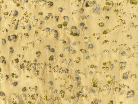Aerial view of the Skeleton Coast featuring vast golden sand dunes dotted with small desert shrubs and sparse vegetation in the Kunene Region, Namibia.