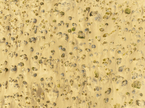 Aerial view of Skeleton Coast sand dunes dotted with sparse desert shrubs in the Kunene Region, Namibia.