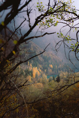 Fototapeta premium Autumn landscape at Lake Issyk with turquoise water, colorful yellow trees and mountain background in Kazakhstan