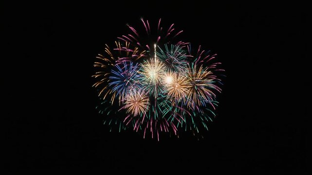 Vibrant fireworks exploding in night sky.