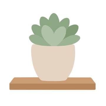 A charming flat vector illustration of a green succulent plant with rosette leaves growing in a light beige pot placed on a brown wooden shelf against a plain white background