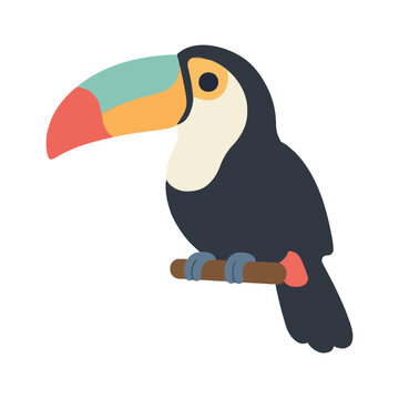 An eye-catching flat vector illustration showcasing a tropical toucan with a large colorful multicolored beak perched securely on a branch, illustrated in a clean modern graphic art style