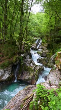 A clear mountain stream cascades over moss-covered rocks surrounded by lush green forest in &Scaron;unik Water Grove, Lepena Valley, Slovenia. Vertical video, ideal for social media.