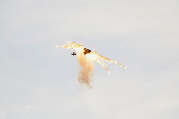 aircraft © Adam Stopa