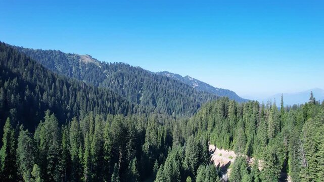 Dense cedar forest covers mountain slopes in Badwai Khwar, Upper Dir, Khyber Pakhtunkhwa, Pakistan