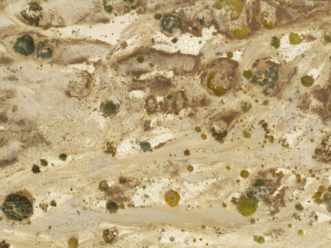 Aerial view of the arid desert landscape of the Skeleton Coast with sparse vegetation and dry cracked earth in Kunene Region, Namibia.