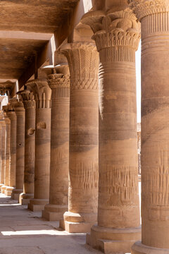 Ancient egyptian colonnade at philae temple, aswan, featuring detailed carved sandstone pillars under warm light
