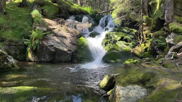 Scenic landscape of Maria Magdalena Waterfall flowing over moss-covered rocks into a clear pool in Retezat Mountains, Romania, peaceful nature and travel video, 4k, 60fps.