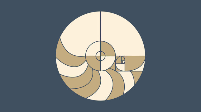 Elegant geometric spiral of a nautilus shell design, symbolizing natural harmony and mathematical beauty, ideal for science education, design principles, and artistic inspiration.