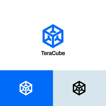 Simple Geometric Wired Cube Box Technology Logo Design Template