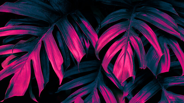 Cyberpunk neon glow of Tropical leaves pattern in dark moody tone