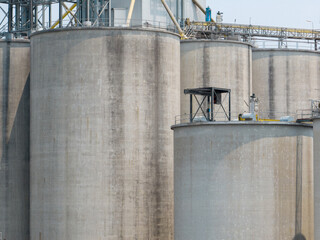 Animal feed factory. Agricultural silos, grain storage silos. Agriculture industry. Rural agribusiness. Grain storage innovation. Agricultural silos at animal feed factory. Sustainable farming. © Fahroni