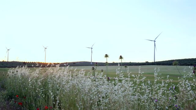 Wind turbines generating clean energy at sunset