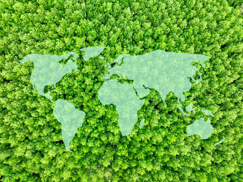 World map above green mangrove forest. Net zero emissions and natural carbon sinks. Mangroves as blue carbon ecosystem, absorbing CO2 emissions and mitigating global warming. Climate change solutions.