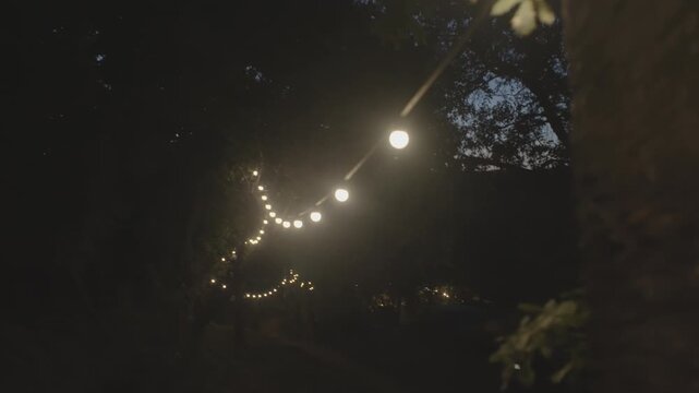 Warm globe string lights hang from branches in a dark forest at night as the camera moves slowly, creating a cozy atmosphere