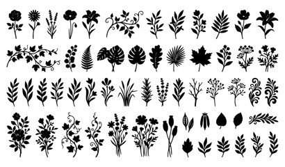 Fototapeta premium Botanical Black Silhouette Icons and Floral Elements Vector Set