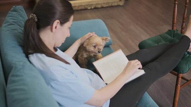 woman reads book while stroking devoted yorkshire terrier. loyal dog gazes at loving owner. pet care, companionship and bonding concept.