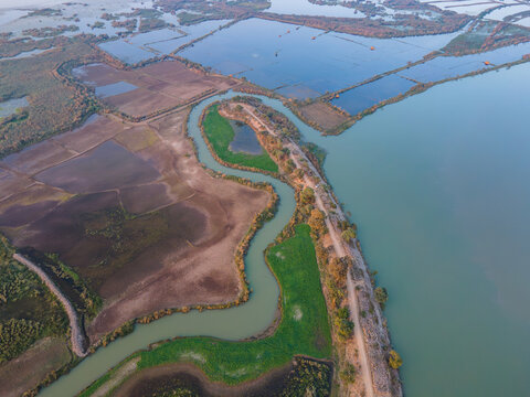 Aerial view of Qadirabad Head Works Bridge spanning the river, surrounded by agricultural fields, irrigation canals, and wetlands in Wazirabad, Punjab, Pakistan.