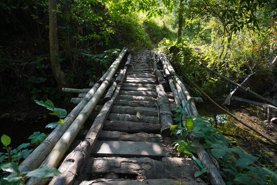 Traditional bridges are built using bamboo and other trees to connect villages