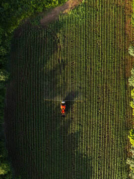 Aerial view of a tractor spraying crops in a large agricultural field with straight rows of plants in Hopelchen, Campeche, Mexico.