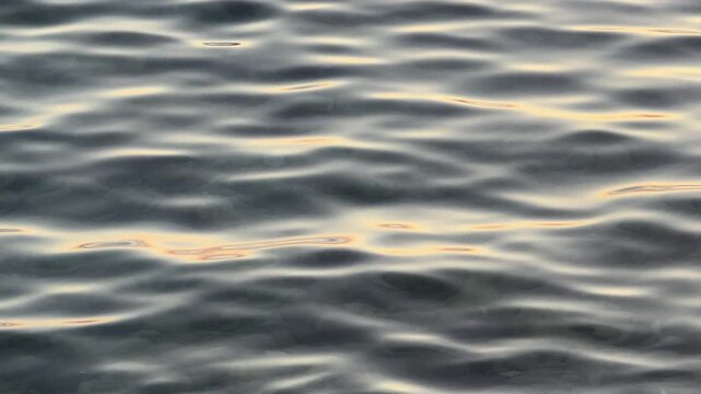 Sea surface with golden reflections at sunset golden hour summer calm waves horizontal video