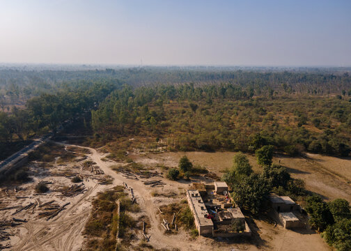 Aerial view of Dalwaryam Plantation featuring scattered trees, dirt paths, and a small rural building in the landscape of Chak 96, Punjab, Pakistan.
