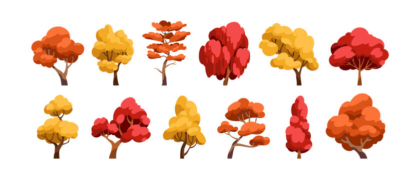 Autumn trees with yellow, red, orange crowns, set. Deciduous forest plants with trunks and seasonal fall canopies, foliage krones. Flat cartoon vector illustrations isolated on white background