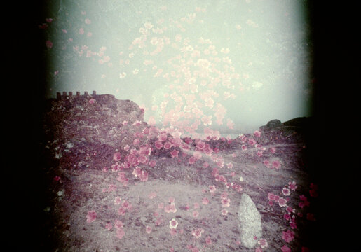 abstract grunge background with flowers