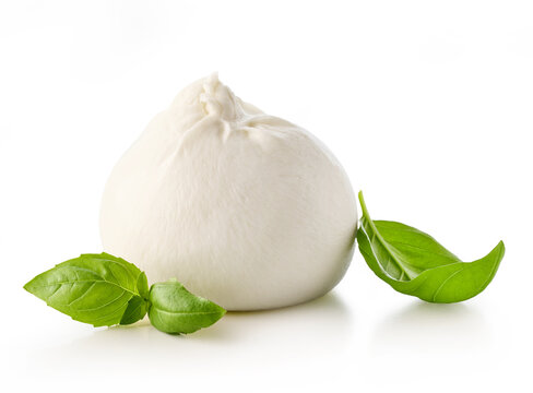 Fresh Burrata cheese with basil leaves on white background