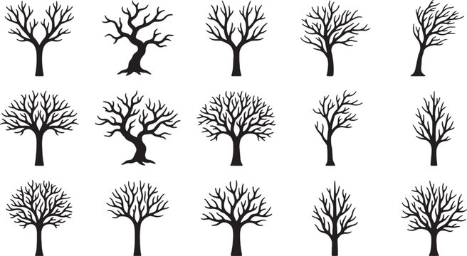 Black and white of bare winter trees in rows