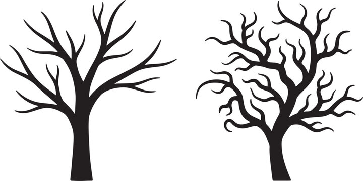 Black and white of two trees with branches nature