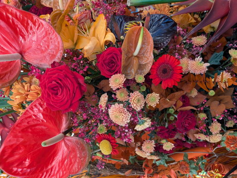 Vibrant Autumn Floral Arrangement Botanical Display
