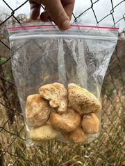 Lion's mane mushroom in a clear bag © Fukume