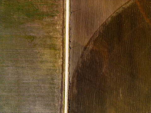 Aerial view of monocultures in agricultural fields separated by a dirt road in Hopelchen, Campeche, Mexico.
