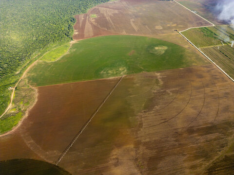 Aerial view of circular irrigation monocultures in agricultural fields with contrasting brown soil and green crops adjacent to dense forest in Hopelchen, Campeche, Mexico.
