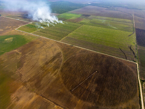 Aerial view of monocultures with circular irrigation patterns and smoke rising from agricultural fields in Hopelchen, Campeche, Mexico.