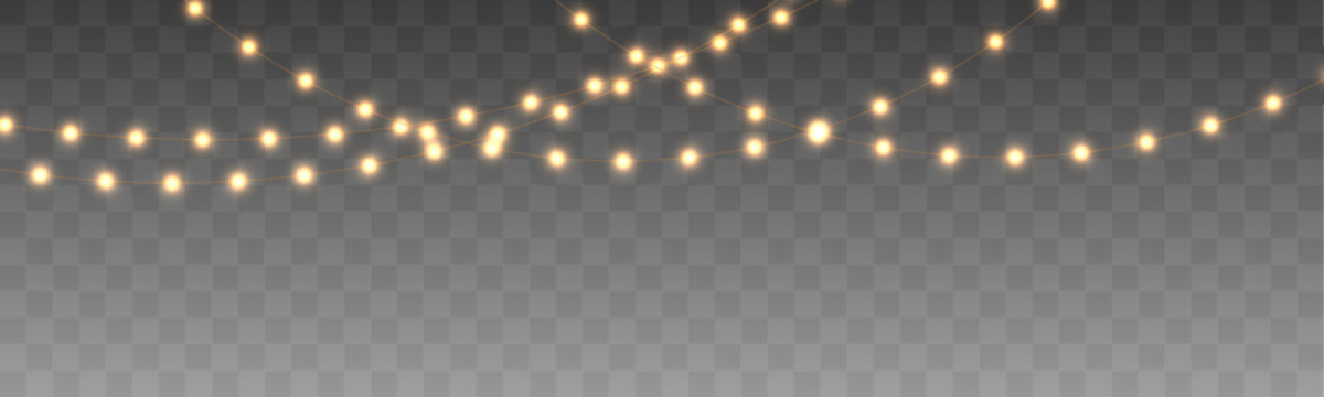 Warm holiday fairy lights shimmer with radiant golden bulbs and gentle glowing effects. Beautiful illumination fills the scene with festive comfort. Perfect for transparent vector.